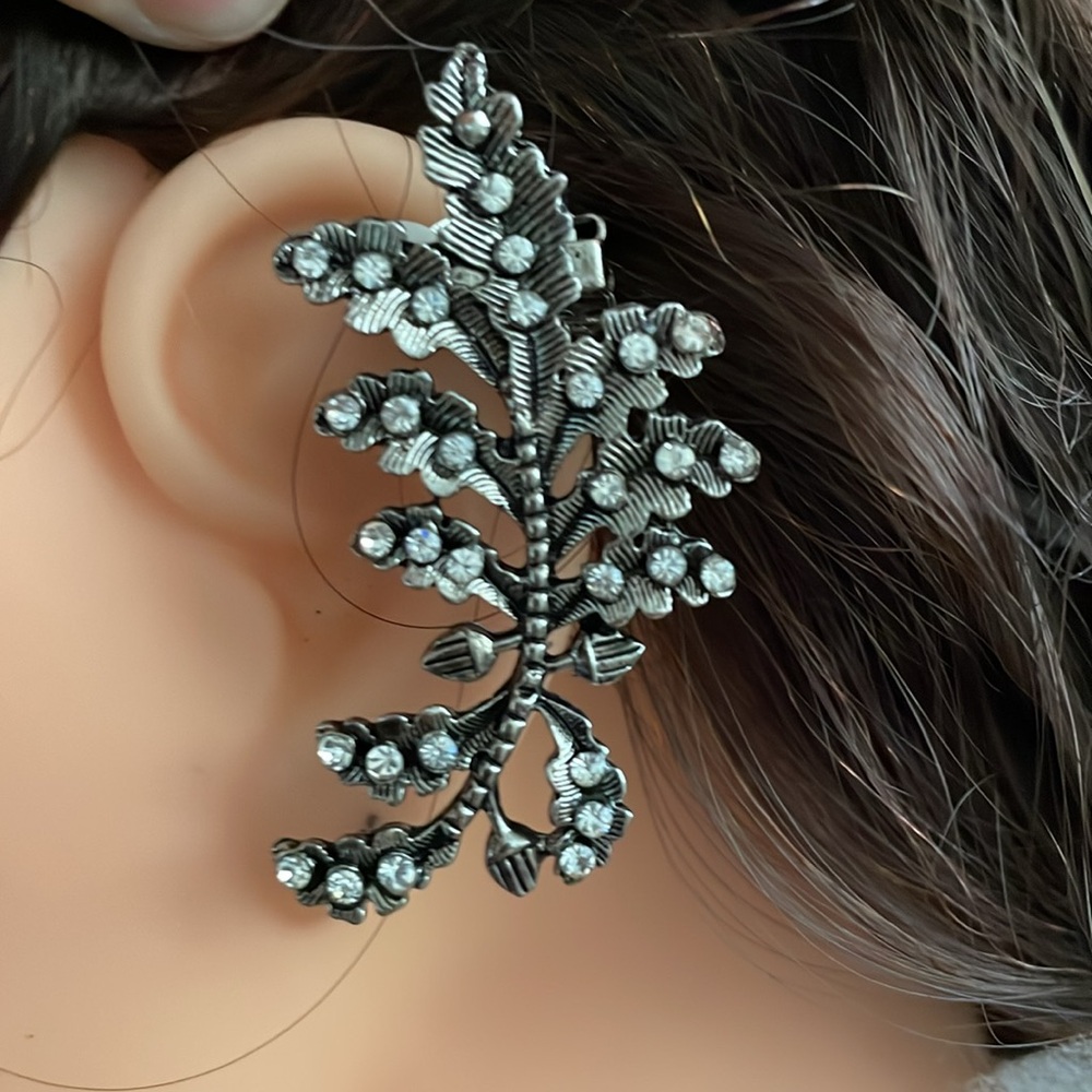 Fashion earrings